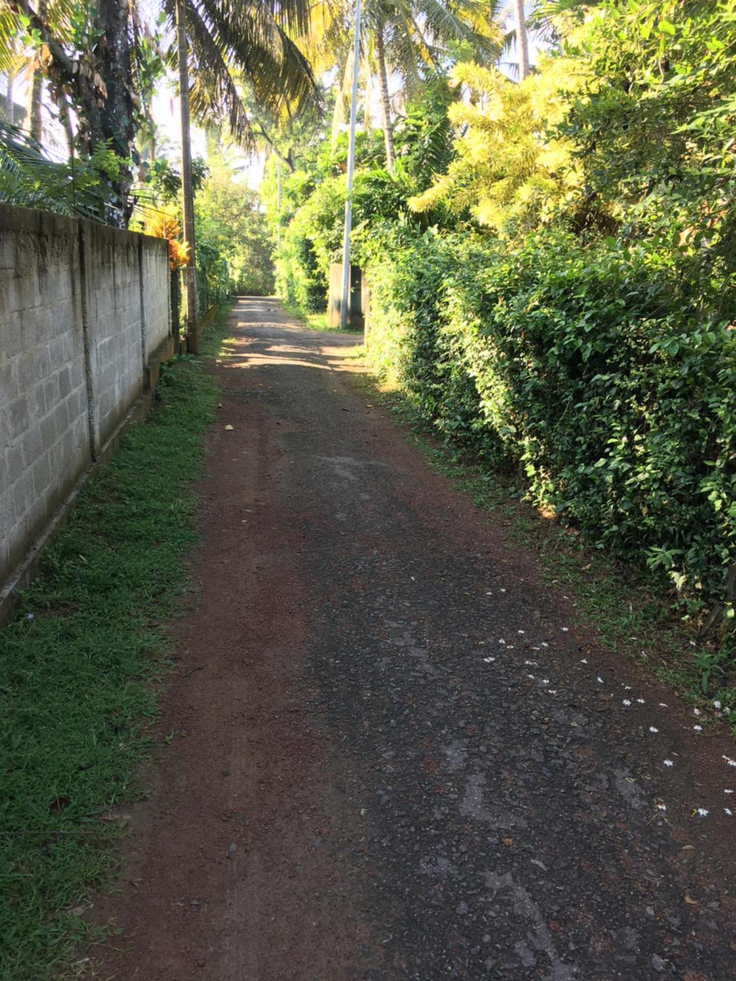 Bosadi Homestay كاتوناياكى المظهر الخارجي الصورة